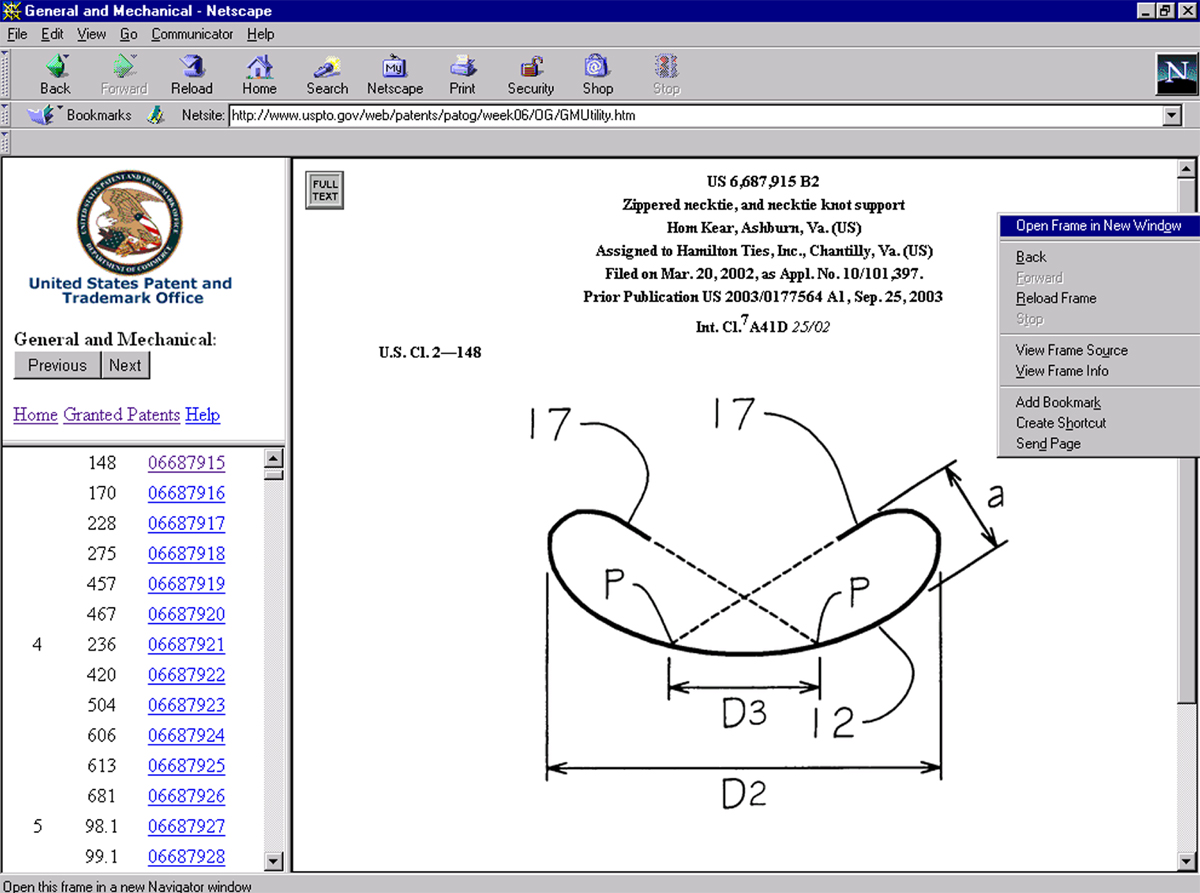 Figure 3 Open Frame in New Window Option in Netscape
