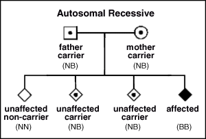 Drawing illustrating autosomal recessive inheritance of Bietti's Crystalline Dystrophy. Illustration shows a father carrier and a mother carrier with four offspring: one unaffected non-carrier, one unaffected carrier, two unaffected carriers, and one affected.