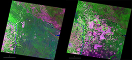 Bolivia Deforestation II