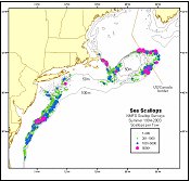 Map of NE Sea Scallop