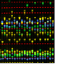 Computer image of a microarray