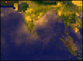 Aerosols over the Indian Ocean