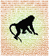 ATCG's Image with Rhesus Macaque