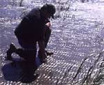 Martin Posey kneels in the flat muddy marshes off the Cape Fear River
