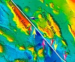Bathymetric map of the seafloor, centered on the San Clemente Fault. The average offset on the fault is 58 kilometers.
