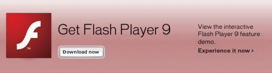 Flash Player image