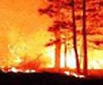 High fire risk is affected by climate outlook for precipitation.