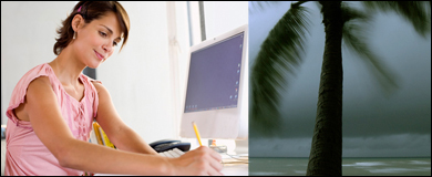 Woman at a computer, tree in a hurricane