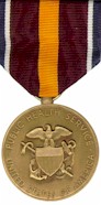 DS large medal