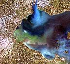  Satelite image of Microcystis bloom in Lake Erie August 2003