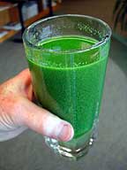 Glass of concentrated microcystis taken from Lake Erie. (photo credit, Dr. Tom Bridgeman, University of Toledo)