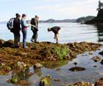 High school students characterize intertidal habitat.