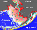 Illustration of the currents in the Bering Strait