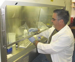 Mike Menke extracts DNA from blood samples