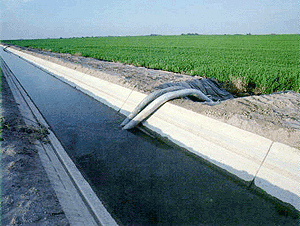 An irrigation water supply ditch carries snowmelt water to the fields.