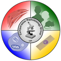 Comparative Pathobiology Group Logo. Circle with microscope graphic and lab text in center with four areas surrounding: humans with rodent, slide with tissue sample, cell with nucleus, and a group of muscle cells.   