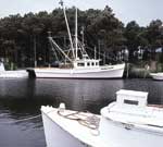 Fishing ships docked at Harkers Island