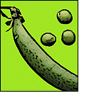 Illustration of peas