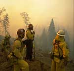 Firefighters in the field communicate with a helicopter providing fire support.