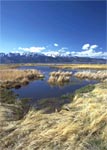Washoe Lake wetlands area, Slide Mountain in background, Washoe County, Nevada 