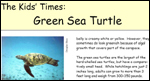 front page of Kids' Times for Green Sea Turtle