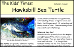 front page of Kids' Times for Hawksbill Sea Turtle