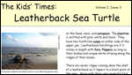 front page of Kids' Times for Leatherback Sea Turtle