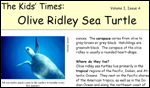 front page of Kids' Times for Olive Ridley Sea Turtle