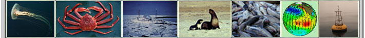 Filmstrip collage of Bering Sea