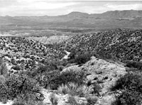 Desert scene along the Apache
Trail