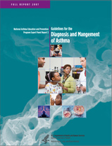 Image of the cover of the Asthma Guidelines Update 2002