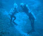 Two divers work on a transect line to collect sponge and water samples