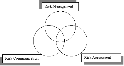 Three overlapping circles represent the independent and
dependent activities of Risk Management, Risk Communication and Risk Assessment.