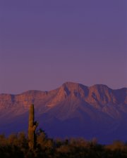 Cabeza Prieta National Wildlife Refuge in Arizona