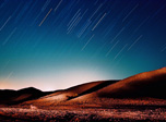 Kit Fox and Star Trails