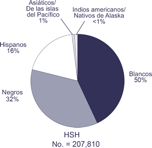 HSH; No. = 207,810

Blancos: 50%
Negros: 32%
Hispanos: 16%
Asiáticos/Nativos de las islas del Pacífico: 1%
Indios americanos/Nativos de Alaska: <1%