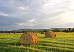 hay bales at sunrise