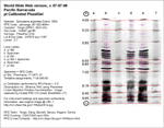 Calibrated IEF Gel Image