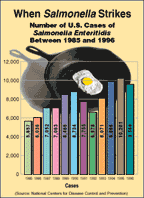 graph showing U.S. cases of Salmonella enteritidis between 1985 and 1996--statistical information reproduced at the bottom of the page