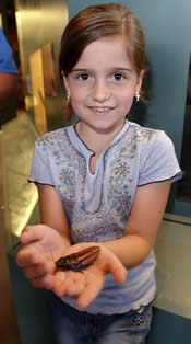 Girl holding hissing cockroach in Insect Zoo