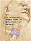 Cover page of Q&A with Director of FDA's Division of Metabolic and Endocrine Drug Products about thyroid dysfunction