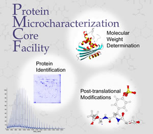 Protein Microcharacterization Core Facility. DNA graphic for Molecular Weight Determination, Protein identification diagram, molecular structure diagram of Post-Translational Modifications, and line graph.