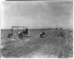 Men and machinery working in a field