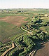 Riparian buffer to protect a creek