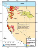 Chinook salmon critical habitat