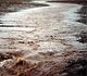 Field runoff from a heavy rain in Iowa