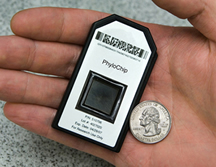 PhyloChip