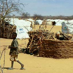 Today, protecting and assisting the estimated 14 million refugees worldwide remains a challenge. This scene from the Iridimi refugee camp in Chad shows refugees living in makeshift shelters constructed from sheeting provided by relief groups and from local materials.