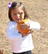 A small girl holding a pumpkin.