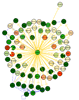 Model of the yeast regulatory network using Cytoscape.